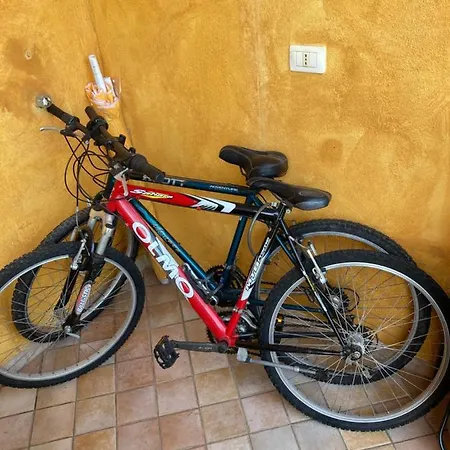 Molly * סאן תאודורו